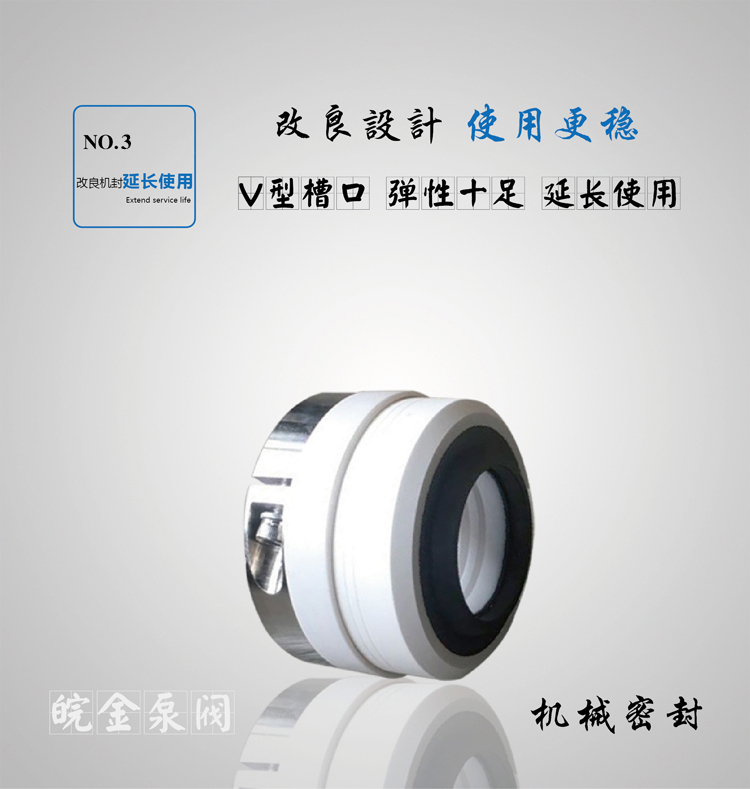 FSB-D氟塑料離心泵機(jī)封.jpg